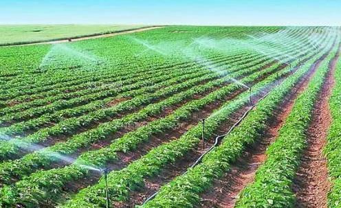 东北骚妇av白拍农田高 效节水灌溉